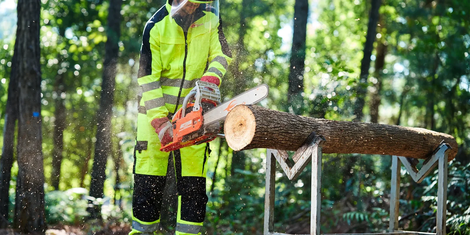 top-Chain-Saw-1